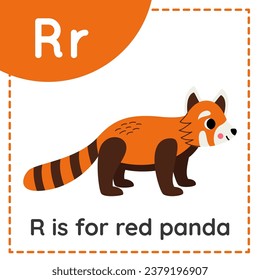 Animal alphabet flashcard for children. Learning letter R. R is for red panda. 