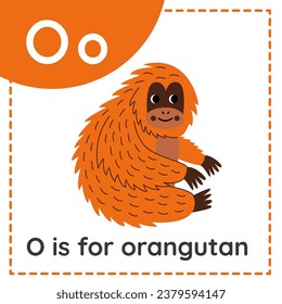 Animal alphabet flashcard for children. Learning letter O. O is for orangutan.