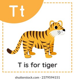 Animal alphabet flashcard for children. Learning letter T. t is for tiger.