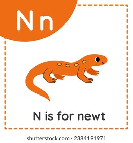 Animal alphabet flashcard for children. Learning letter N. N is for newt.