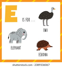 Animal alphabet flashcard for children. Learning letter E. E is for emu, elephant and echidna.