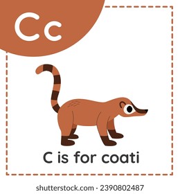 Animal alphabet flashcard for children. Learning letter c. c is for coati.