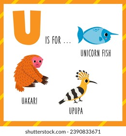 Animal alphabet flashcard for children. Learning letter U. U is for uakari upupa unicorn fish.