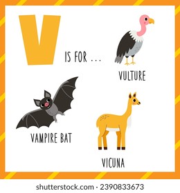 Animal alphabet flashcard for children. Learning letter V. V is for vulture, vampire bat, vicuna.