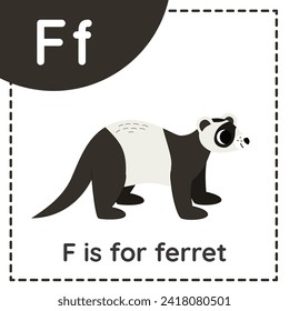 Animal alphabet flashcard for children. Learning letter F. F is for ferret.