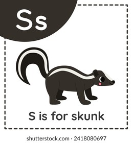 Animal alphabet flashcard for children. Learning letter S. S is for skunk.