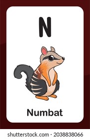 Animal Alphabet Flashcard - N for Numbat