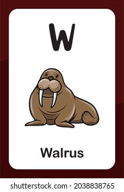 Animal Alphabet Flashcard - W for Walrus