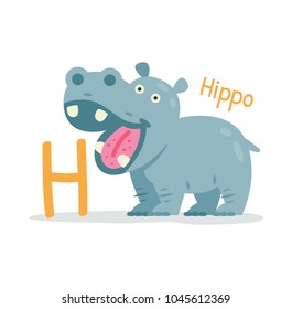 animal alphabet - H for Hippo.
Cute and sweet animal hippopotamus.
100% vector