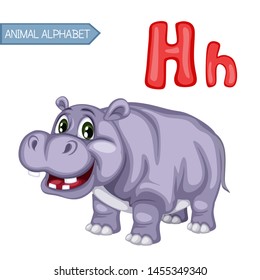 Animal Alphabet. H is for Hippo. Vector Illustration of a  Hippopotamus. Cute Cartoon Animals Isolated on a White Background