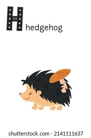 Animal alphabet. Hand drawn cute hedgehog. Cute vector poster with cartoon forest animal. Hedgehog ABC poster. Card with a letter and a word for teaching children the alphabet.