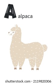 Animal alphabet. Hand-drawn alpaca. Cute zoo vector poster with cartoon animals. Alpaca ABC poster in hand-drawn style. Card for teaching children the alphabet.