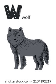 Animal alphabet. Hand-drawn cute wolf. Cute zoo vector poster with cartoon animals. ABC poster with a wolf in hand-drawn style. Card for teaching children the alphabet. Forest animals.