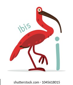 animal alphabet - I for Ibis
cute and funny animal, 100% vector