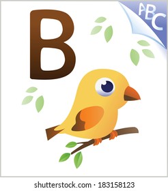 Animal alphabet for the kids: B for the Bird
