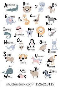 Animal Alphabet For Kids Education. Childish Vector Poster For Home Decor. 