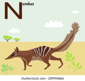 Animal alphabet for the kids: N for the Numbat