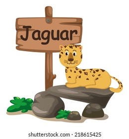 animal alphabet letter J for jaguar illustration vector