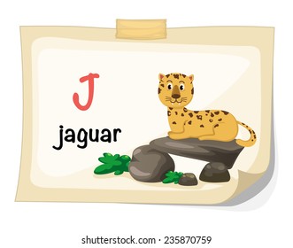animal alphabet letter J for jaguar illustration vector