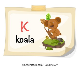 animal alphabet letter K for koala illustration vector