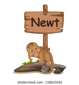 animal alphabet letter N for newt illustration vector