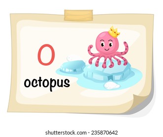 animal alphabet letter O for octopus illustration vector