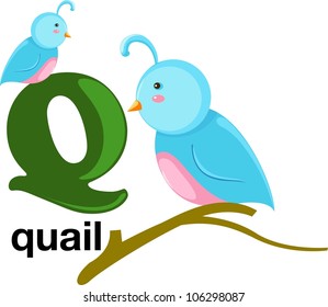 Animal alphabet letter - Q