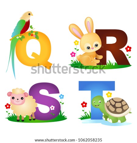 Animal Alphabet letter Q R S T with curte animals quetzal, rabbit, sheep and turtle Foto stock © 