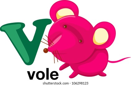 Animal alphabet letter - V