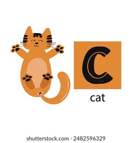 Animal alphabet letters. Cute baby animal letter C with cat. English alphabet for kids. animal cartoon character. Educational flat vector illustration.