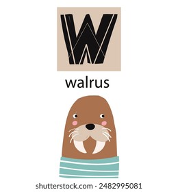 Animal alphabet letters. Cute baby animal letter W with walrus. English alphabet for kids. animal cartoon character. Educational flat vector illustration.
