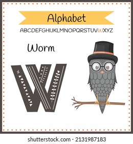 Animal Alphabet. O is for Owl. Vector Illustration of a Happy Owl. Cute Cartoon Owl Isolated.