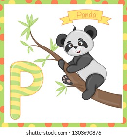 Animal Alphabet. P is for Panda. Vector Illustration of a Happy Panda. Cute Cartoon Panda Isolated