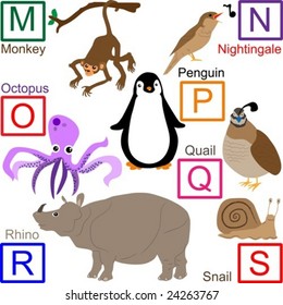 Animal alphabet, part 3 of 4