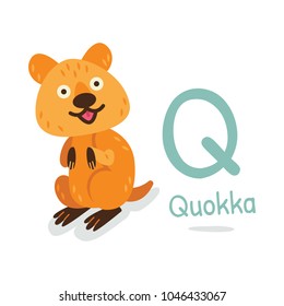 animal alphabet - Q for Quokka
the selfie animal :D
100% vector