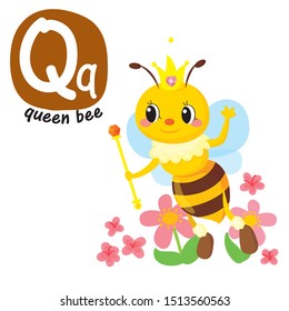 animal alphabet Q.lettters Q.Queen bee