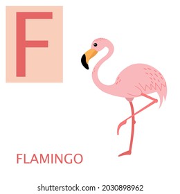 Animal alphabet series. Letter F. Cute cartoon style pink flamingo. Isolated on white. Educational poster.
