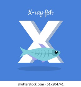 Animal alphabet vector concept. Flat style. Zoo ABC with decorative fish. X-ray fish swimming on blue background, letter X behind. Educational glossary. For children's books, textbooks illustrating