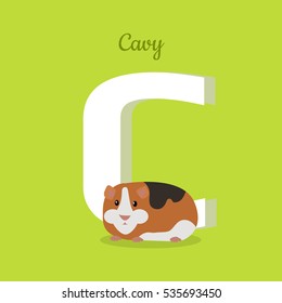 Animal alphabet vector concept. Flat style. Zoo ABC with domestic animal. Guinea pig lying on green background, letter C behind. Educational glossary. For children's books, textbooks illustrating