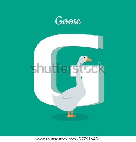Animal alphabet vector concept. Flat style. Zoo ABC with domestic bird. Fatty goose standing on green background, letter G behind. Educational glossary. For children's books, textbooks illustrating