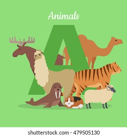 Animal alphabet vector. Flat style. ABC with animals. Camel, elk, llama, tiger, walrus, guinea pig, sheep standing on green background, letter A behind. For children's books, textbooks illustrating