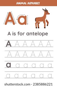 Animal alphabet writing for preschool kids. Letter a is for antelope.