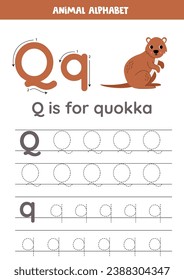 Animal alphabet writing for preschool kids. Letter Q is for quokka.