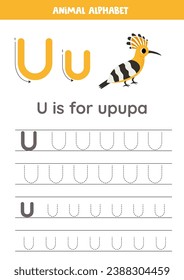 Animal alphabet writing for preschool kids. Letter U is for upupa.