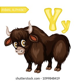 Animal Alphabet. Y is for Yak. Vector Illustration of a Happy Yak. Cute Cartoon Buffalo Isolated on a White Background. Happy Animals Set