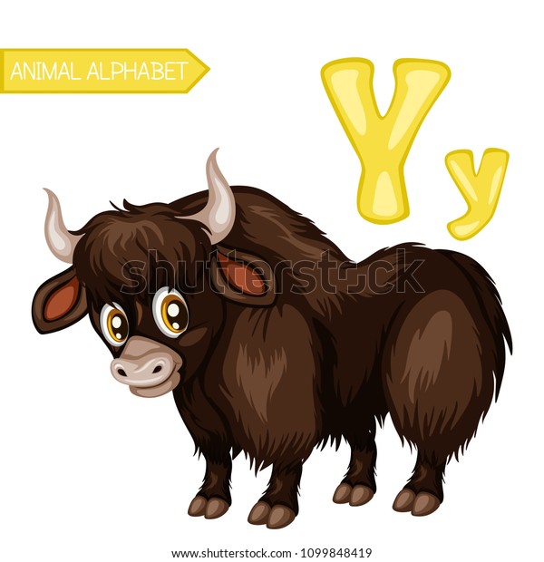 Animal Alphabet Y Yak Vector Illustration Stock Vector (Royalty Free