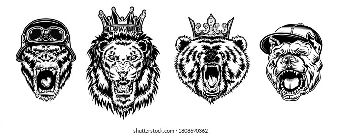 Animal angry characters set. Gorilla in biker helmet, lion and bear in riyal monarch crown, bulldog in gangster cap with open jaws. Vintage monochrome vector illustrations isolated on white background