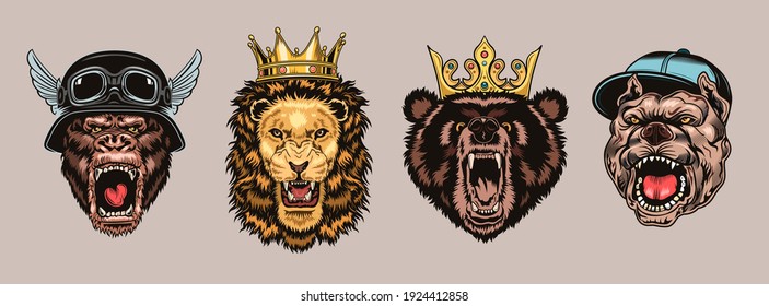 Animal angry characters set. Gorilla in biker helmet, lion and bear in riyal monarch crown, bulldog in gangster cap with open jaws. Vintage vector illustrations isolated on white background