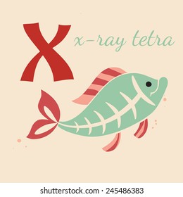 Animal & Animals. X For X-ray Tetra