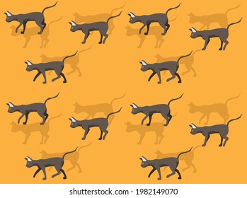 Animal Animation Cat Peterbald Cartoon Vector Seamless Wallpaper